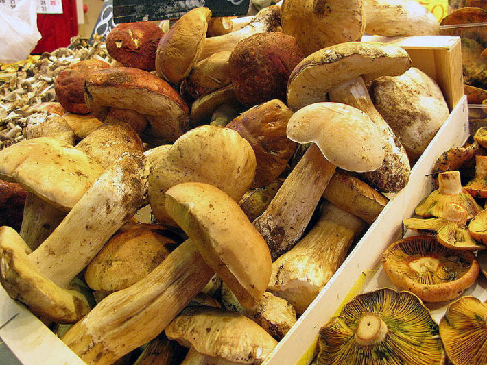 Mushrooms in La Boquería market by Marlis1 flickr e1539854171620 November in Barcelona