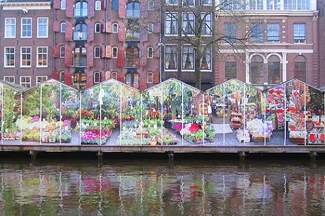 albert cuyp market. Amsterdam