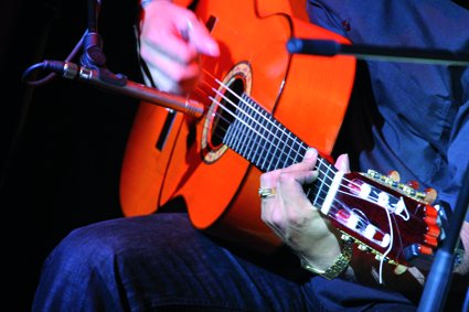 Guitarista. Palacio del Flamenco
